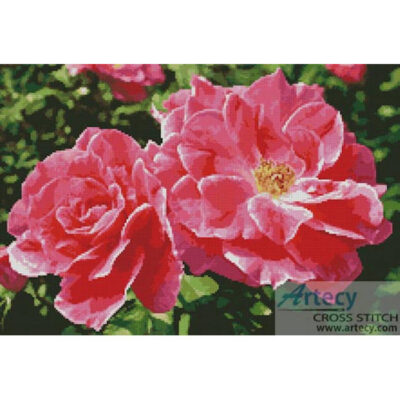 Rose Photo (Chee-Onn Leong - Fotolia)