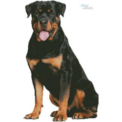 Rottweiler Sitting (Jagodka - Fotolia)
