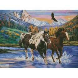 Running Free (Cory Carlson)