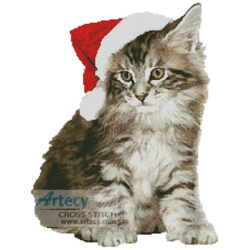 Santa Cat (Sarah Newton - Image Vortex)