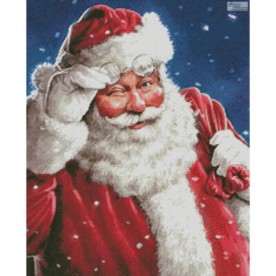 Santa Wink (Crop 2) (Larry Jones)