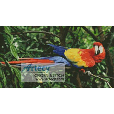Scarlet Macaw 2 (www.photos.com)