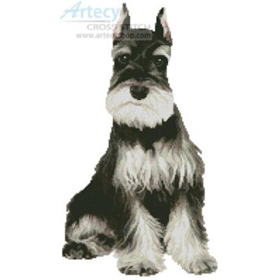 Schnauzer 2 (www.photostogo.com)
