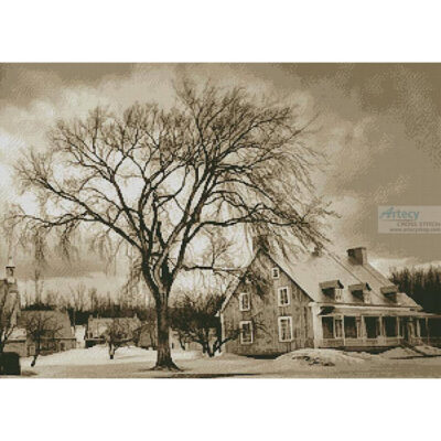 Sepia House in Winter (Patrice Audet)