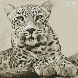 Sepia Leopard (WenPhotos - Pixabay)