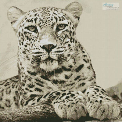 Sepia Leopard (WenPhotos - Pixabay)