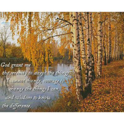 Serenity Birch Tree (mobinovyc)
