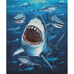Shark Frenzy (James Piazza)