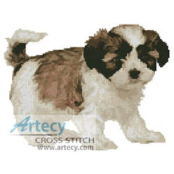 Shih Tzu Puppy (lifeonwhite/Alamy)