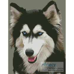 Siberian Husky (DMV Photos - Fotolia)