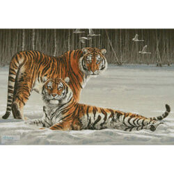 Siberian Splendour (Fuz Caforio)