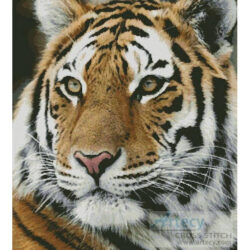 Siberian Tiger (Alain Tugeon - Custcaster)