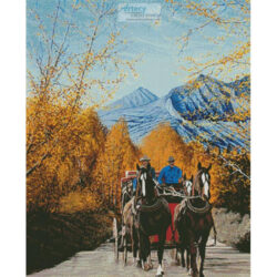 Sierra Stagecoach (Mike Bennett)