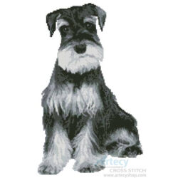 Silver Schnauzer (www.photostogo.com)