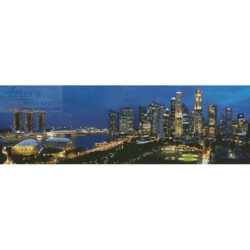 Singapore Panorama (S Clarke)
