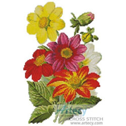 Single Dahlia (Fine Rare Prints)