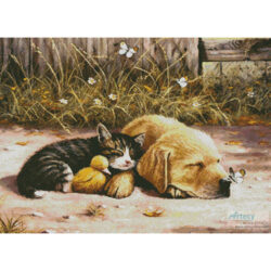 Sleepy Days (Kevin Walsh)