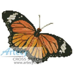 Small Butterfly