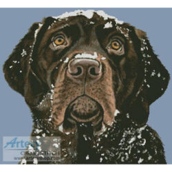 Snow Dog (Helen Chugg)