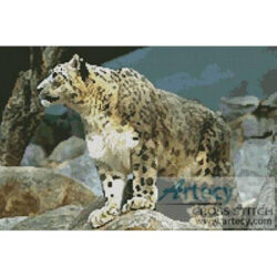 Snow Leopard (Aaron Logan)