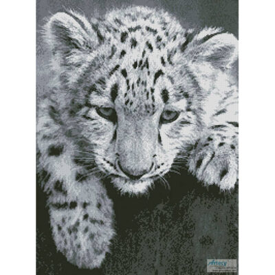 Snow Leopard Cub (milhail1981 - Fotolia)