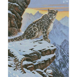 Snow Leopard Mountain (Cynthie Fisher)