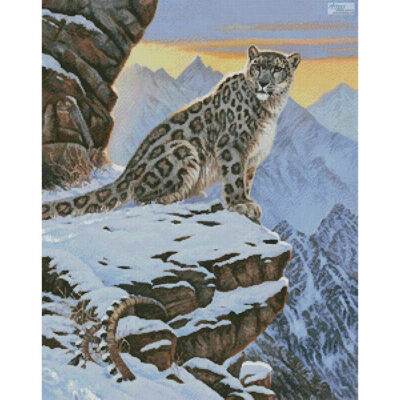 Snow Leopard Mountain (Cynthie Fisher)