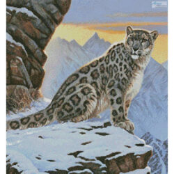 Snow Leopard Mountain (Crop) (Cynthie Fisher)