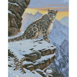 Snow Leopard Mountain (Large Crop) (Cynthie Fisher)