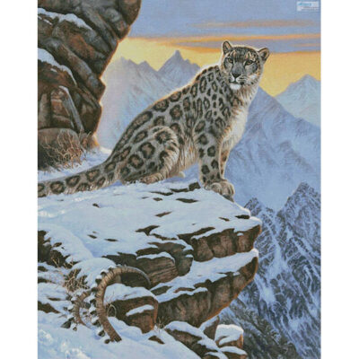 Snow Leopard Mountain (Large Crop) (Cynthie Fisher)