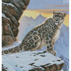 Snow Leopard Mountain (Large) (Cynthie Fisher)