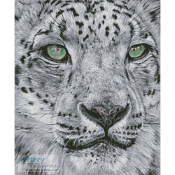 Snow Leopard Portrait (Lisa Ann Watkins)