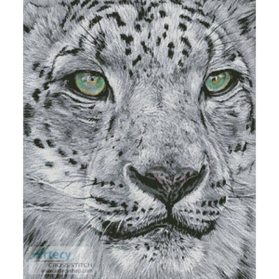 Snow Leopard Portrait (Lisa Ann Watkins)