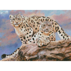 Snow Leopards on a Rock (David Stribbling)