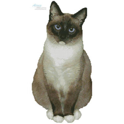 Snowshoe Cat (Missy McManaway)