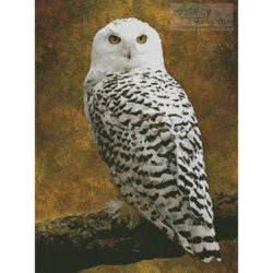Snowy Owl (Alan Tunnicliffe Photography - Getty Images)