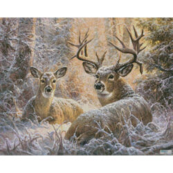 Snowy Seclusion (Abraham Hunter)