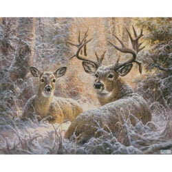 Snowy Seclusion (Large) (Abraham Hunter)