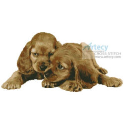 Spaniel Puppies (www.photostogo.com)