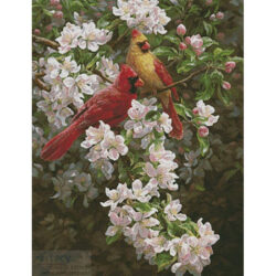 Spring Romance (Beth Hoselton)