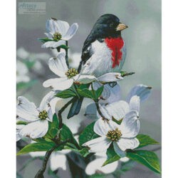 Springtime Grosbeak (Russell Cobane)