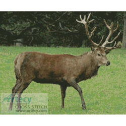 Stag (www.rampantscotland.com)