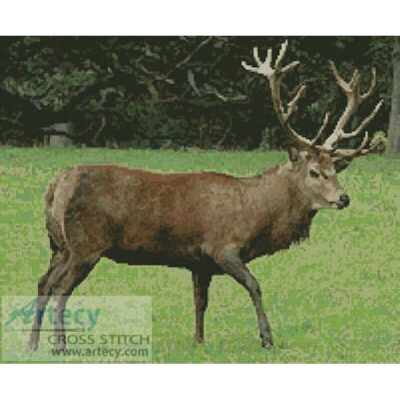 Stag (www.rampantscotland.com)