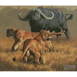 Standoff (Fuz Caforio)