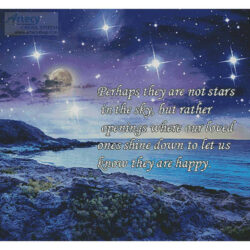 Stars in the Sky (Pellinni - Fotolia)