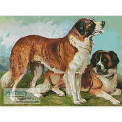 Rough Coated St Bernard (Fine Rare Prints)