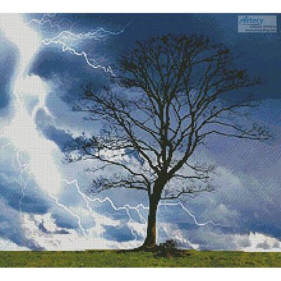 Stormy Tree (Public Domain Pictures - Pixabay)