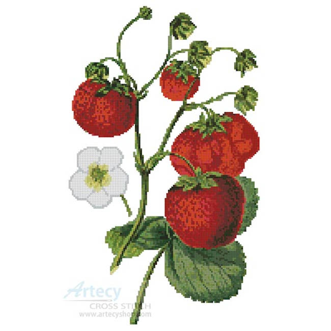 Strawberries