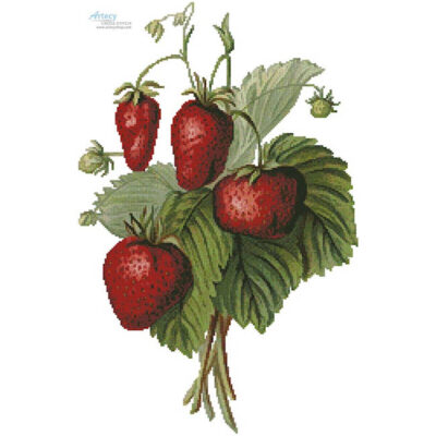 Strawberries Painting (Miss May Rivers)