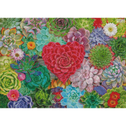 Succulent Love (Lars Stewart)